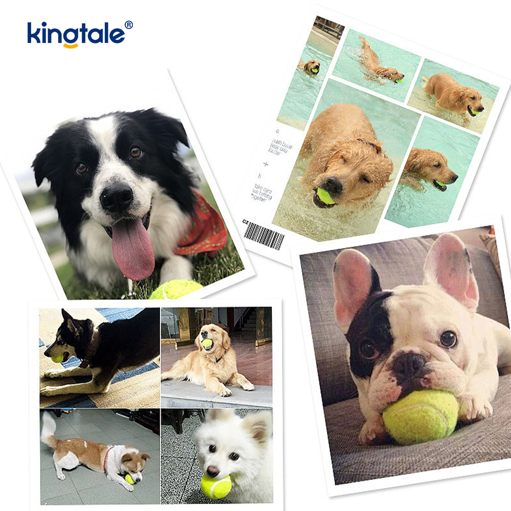 Pet Toy Tennis Odolný a odolný proti uhryznutiu pre Pet Chew Exercise Interactive