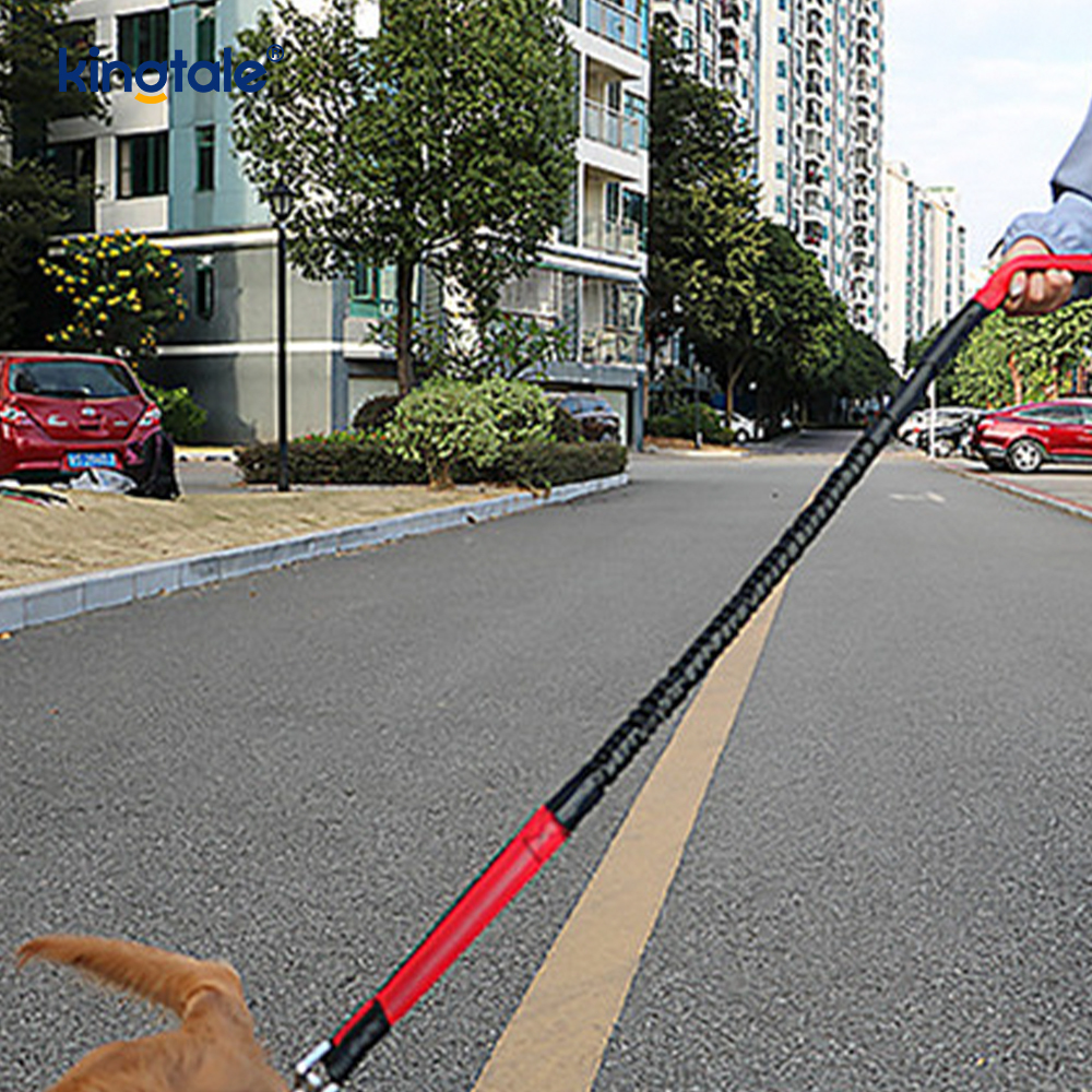 Reflexné elastické dvojité vodítko pre domáce zvieratá s vreckom na zips