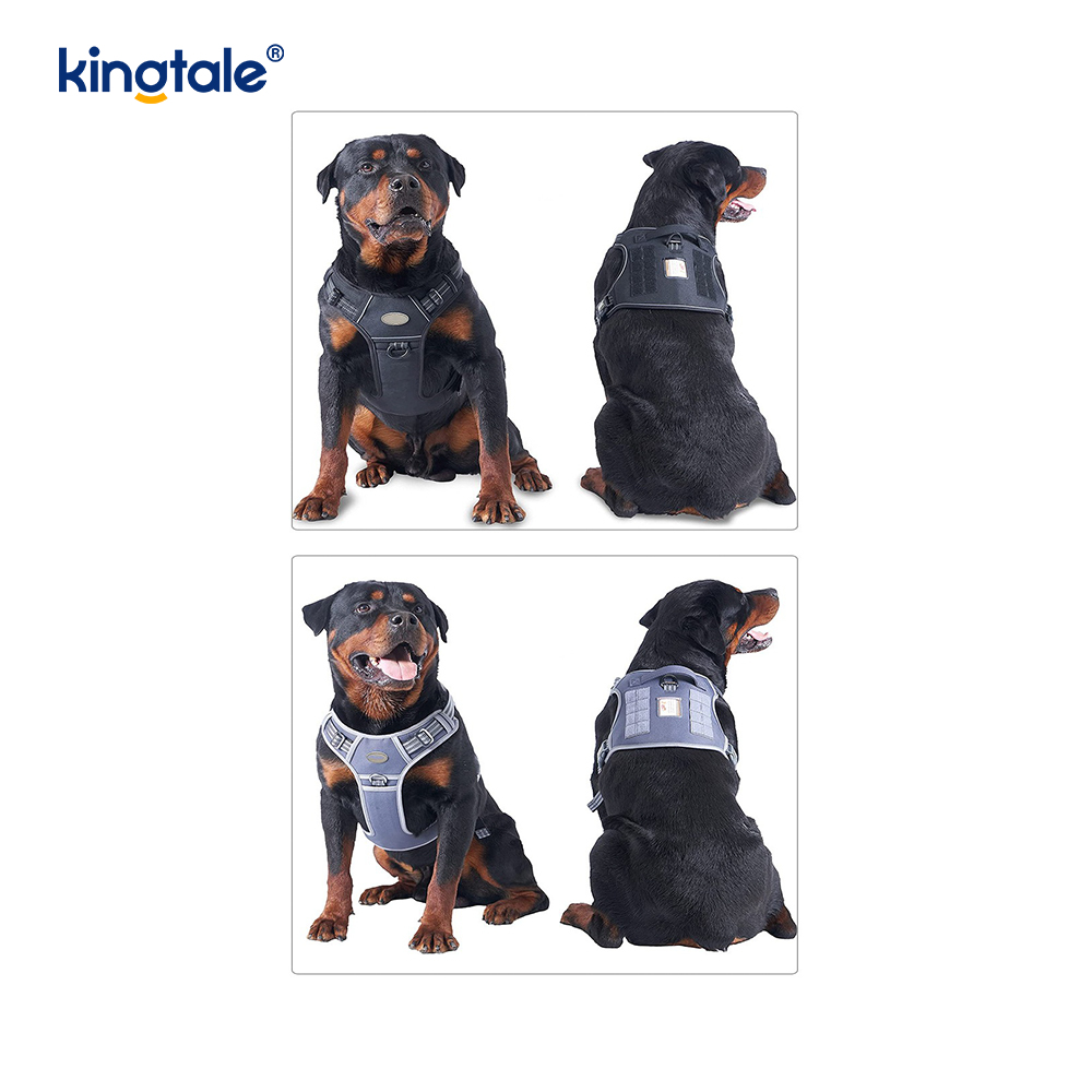 Pevná vesta bez ťahu Nylon Heavy Duty Dog Belt Tréningové postroje Hrudník