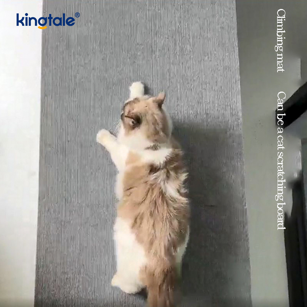 Samolepiaci koberec Cat Scratching pre náhradné podložky na ochranu nábytku